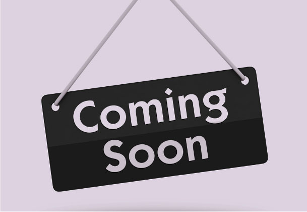 Isle Haven by Paragon Waterfront Homes in St Petersburg, FL